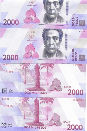 Caribbean new 2006 2000 - new,
