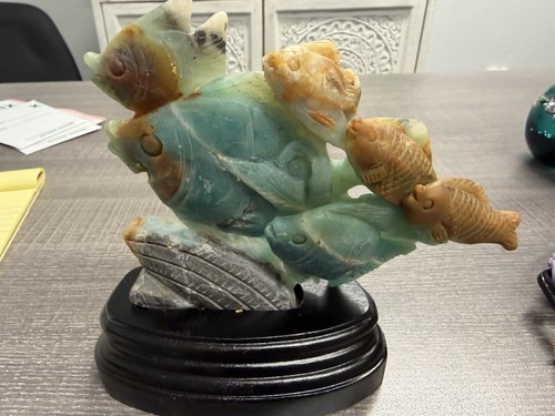 Calcite caraibica pesce