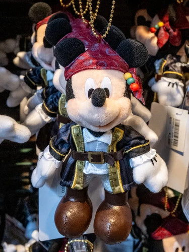 Tokyo disney resort - pirates, of